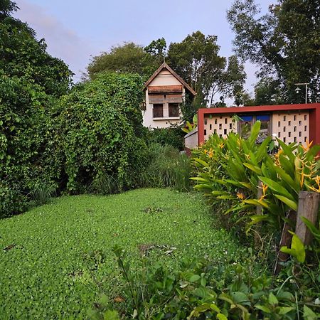 Villa Mia ماراريكولام المظهر الخارجي الصورة