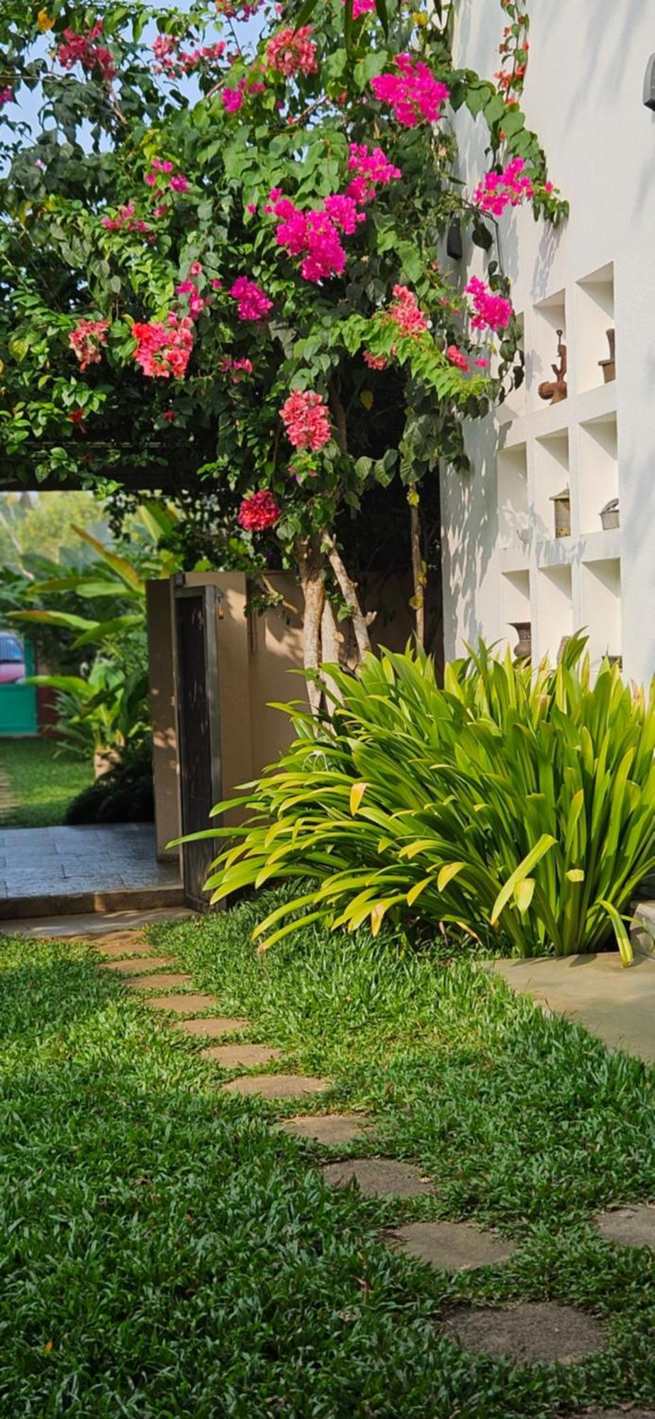Villa Mia ماراريكولام المظهر الخارجي الصورة